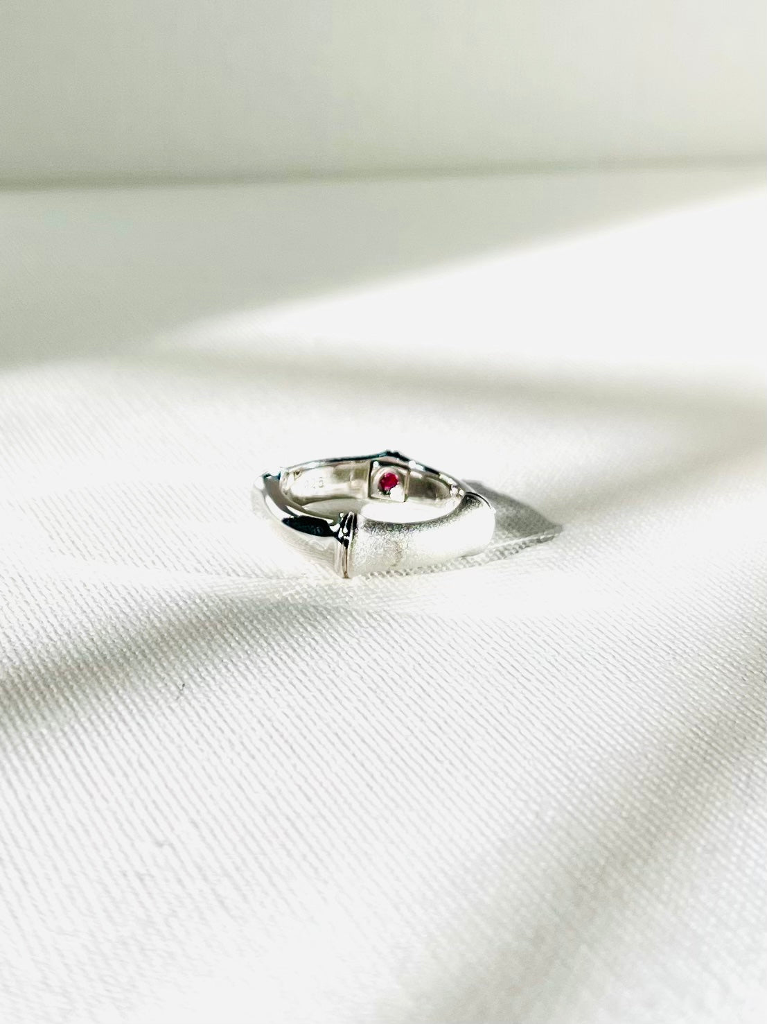 Anillo Banda Plata Mate y Pulido