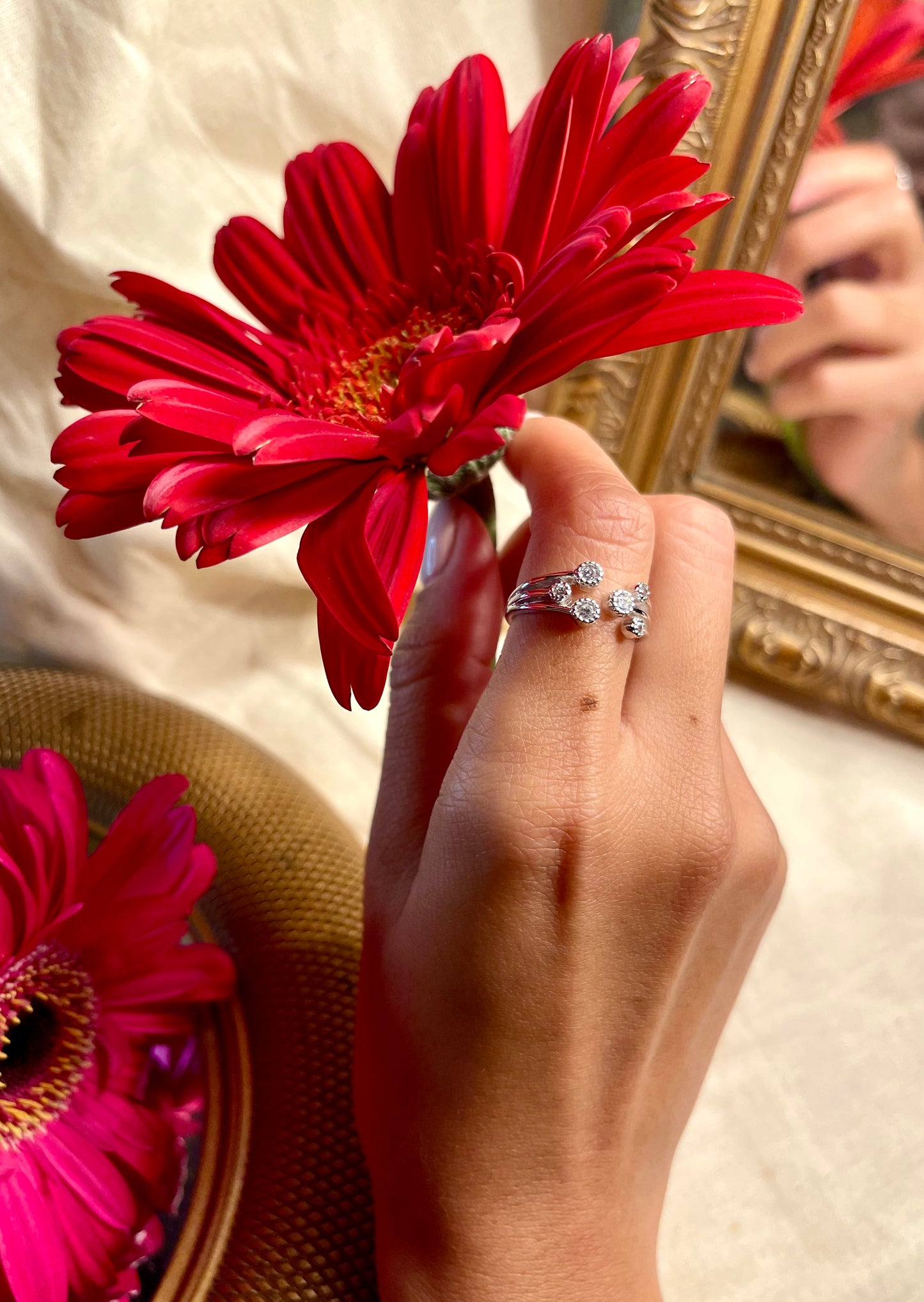 Anillo Zircones Tres Lineas