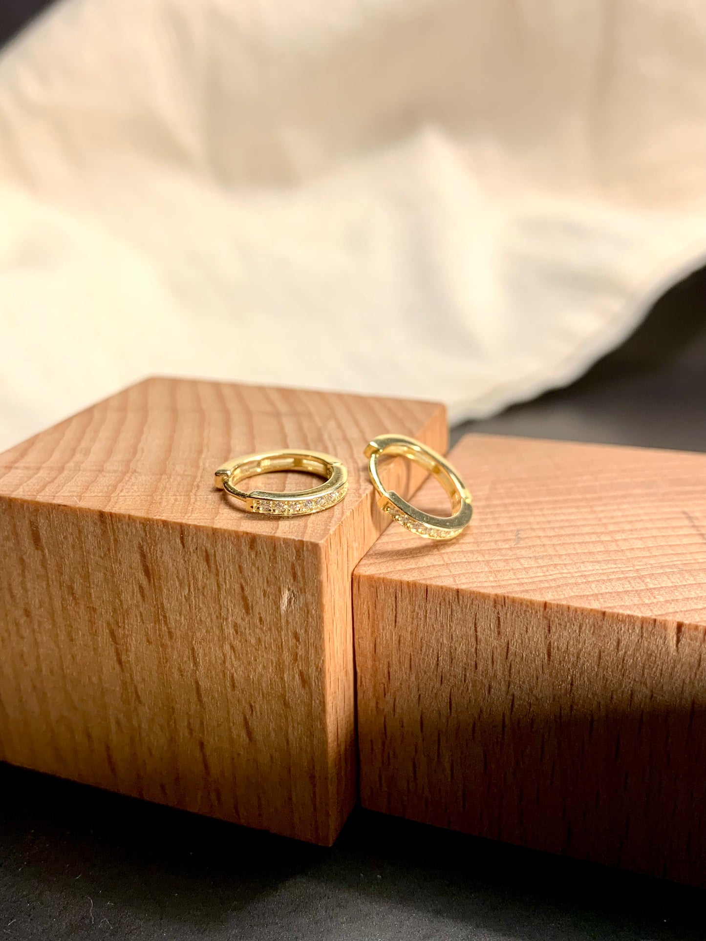 Arete Huggie Circular Zircones