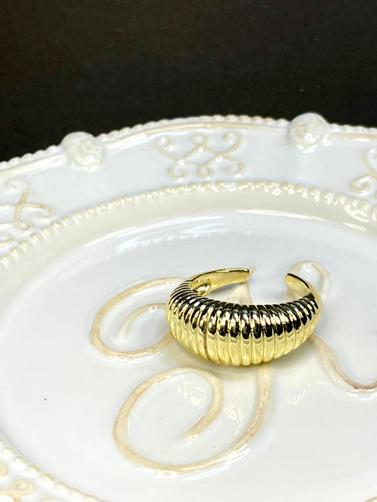 Anillo Resorte