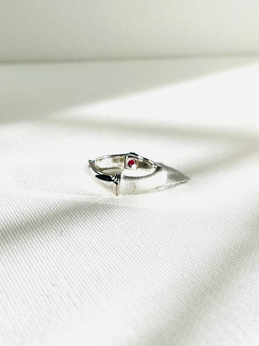 Anillo Banda Plata Mate y Pulido