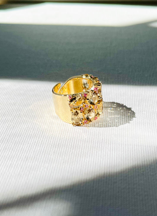 Anillo Cuarzos Zircones
